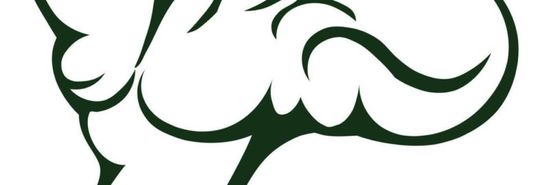 SA Hunter and Game Conservation