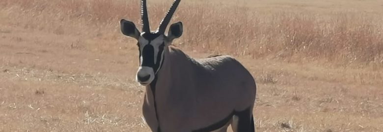 Elandsvlei Private Game Reserve