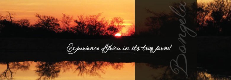 Bongela Private Game Lodge