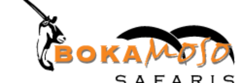 Bokamoso Safaris