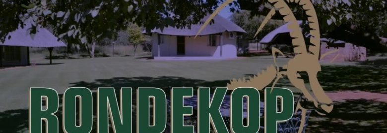 Rondekop Safaris