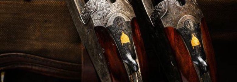 Bear Arms And Ammo