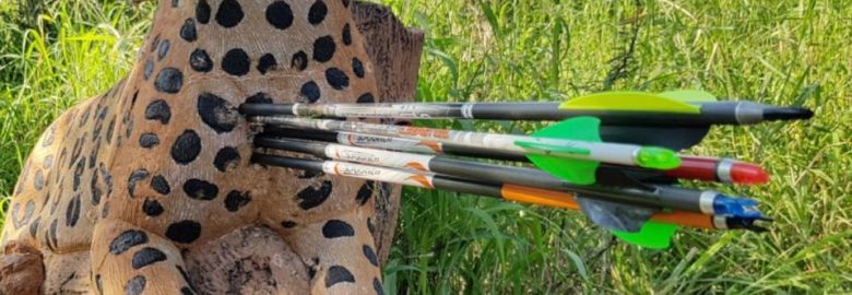 Wildcrete 3D Targets