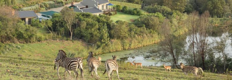 Hakuna Matata Game Farm – Self Catering Accommodation