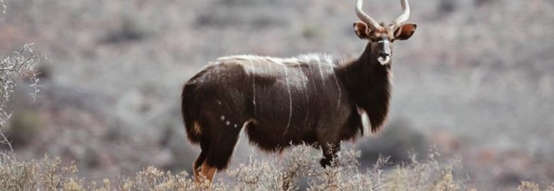 Riverstone Game Farm