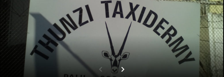 Thunzi Taxidermy