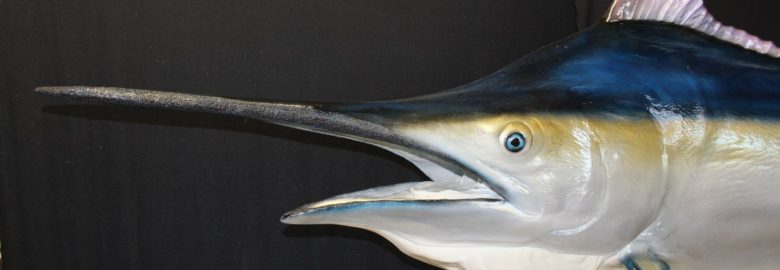 Buck 'n Bass Taxidermy