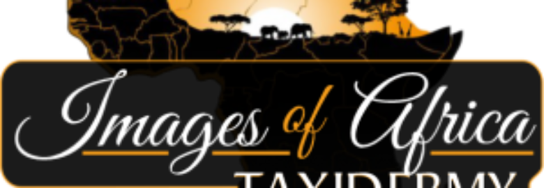 Images of Africa Taxidermists