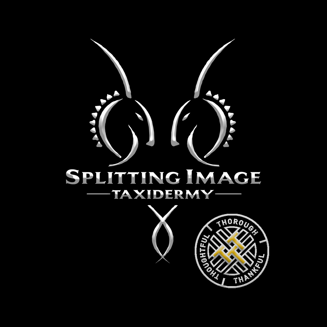 Listing Logo