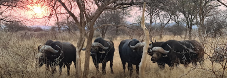 Thithombo Game Farm