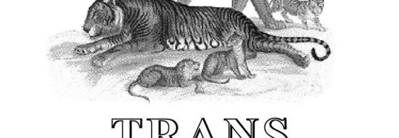 Trans African Taxidermists cc